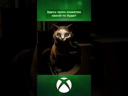 Хтонические реновации #xboxshowcase