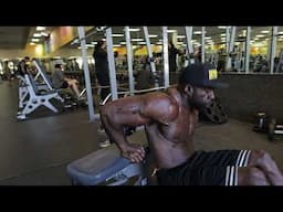 BENCH DIPS