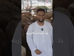 جربت أكون بائع مواشي في العيد !