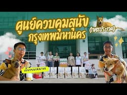 ชีวิตหมาแมวจรกำลังจะเปลี่ยนไป เพราะพวกเรารักหมาแมวจร | Pet Lover by Jerhigh Ep.23