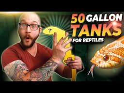 Top 5 Reptiles That Can Live in 50 Gallon Tanks FOREVER!