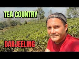 SWISS FAMILY Exploring TEA Fields In DARJEELING 🇮🇳 দার্জিলিং-এ পর্যটন / दार्जिलिङ घुम्न विदेशीहरू
