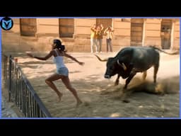 When Animals Go On A Rampage And Got Caught On Camera! #3