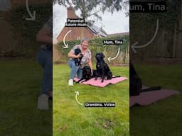 Potential future guide dog mums and dads? 💛