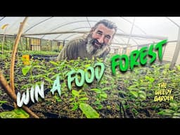 The Best Place to Buy Fruit Trees in Australia – They Post to Your Door!