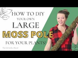 Make a Moss Pole at Home: Quick & Simple DIY for Indoor Plants!