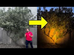 Garden Lighting: 6 Ideas That Deliver!