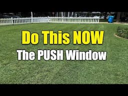 June Lawn Fertilizing Why It's Critical - Thick Green Lawn