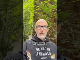 How are you staying sane in the apocalypse? On moby pod.