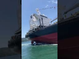 Launching a new ship