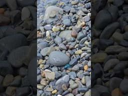 Черное море ласкает галечный берег в районе хутора Дюрсо