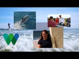 Surfing the Beaches of NYC: Why We Should Protect the Hudson Canyon