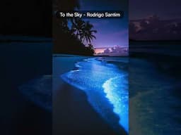Bioluminescent Shoreline | Sunday Paradise Night | Glowing Tropical Aesthetic