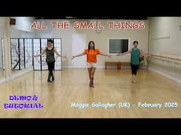 All The Small Things - Line Dance (Dance & Teach) | Maggie Gallagher