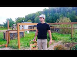 Growing Our Own Food Changed Our Life