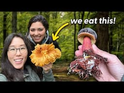 Finding Wild Mushrooms 🍄 The BIGGEST Chanterelle We've Ever Seen!