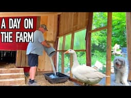 Re-Building our Goose House Bigger, Better and Stronger