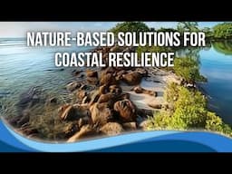 Nature-based solutions for coastal resilience live online course