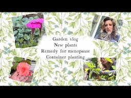 "Planting for Wellness:  New Additions to My Tea Garden and new container planting”