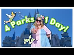 The Ultimate Disney Challenge: 4 Parks, 1 Day, ZERO Regrets!  🏰🏐🌳🎬