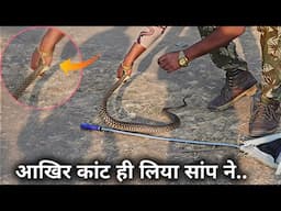 आखिर कांट ही लिया इस सांप ने, खतरनाक जहरीले सांप, This snake bite me, watch the full video