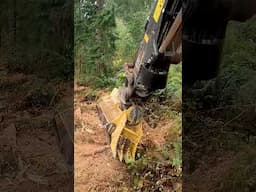 4161-15 mulching head in action  #tigercat #mulching