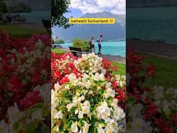Iseltwald Switzerland: Dreamy Lake views   #shorts #travel