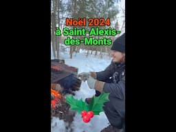 🎄🔥 Noël 2024 à Saint-Alexis-des-Monts 🎉🐕