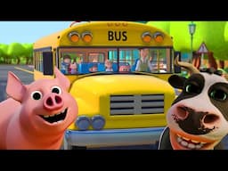Finger Family Song + Wheels on The Bus + More Nursery Rhymes & Kids Songs