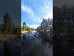 Hike Along Upper Truckee River (4/15/25)