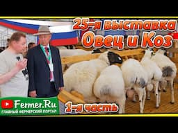 Событие года! Овцеводство России 2025. Дагестан принимает XXV выставку племенных овец и коз. 1 часть