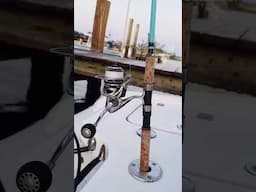 Piscifun Fishing With Salty #fishing #piscifun #fishingwithsalty