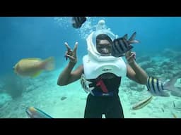 sea trek underwater walking tour curacao #youtubeshorts #seatrek #solotrip #solotravel #curacao