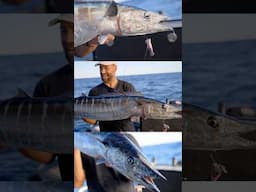 Testing the Reaper Rig! (AMAZING Swim Bait)
