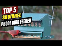 Best Squirrel Proof Bird Feeders 2025: Keep Squirrels Away!