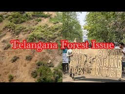 A to Z about Telengana Forest Issue | #kanchagachibowliforest #deforestation