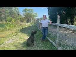 Perks in Tiny Home Community - Ace’s Place” Dog Park for Residents Pups to Enjoy 🐶🤎🖤🤍