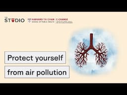Pulmonologist on what you can do to protect yourself from air pollution