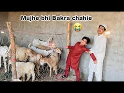 Mujhe bhi Bakra chahie  |  Motivational video | Bakra Eid Special |  MoonVines