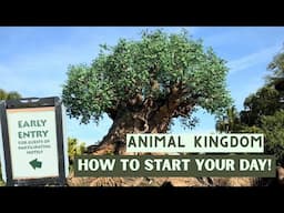 Early Entry at Animal Kingdom guide for the BEST day!