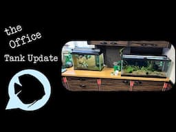 Office Tank Updates