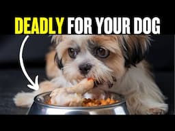 These 15 Everyday Items Are Slowly Poisoning Your Dog (You Won’t Expect This)