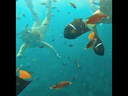 The Adventure Begins Here | Explore Puerto Vallarta with Vallarta Adventures!