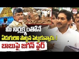 YS Jagan FIRES On Chandrababu Govt Over Simhachalam Temple Incident| EHA TV