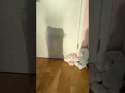 HELLO KITTY SHADOW 🎀 #cute #trend #kawaii #hellokitty #lifehack #satisfying