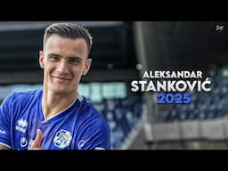 Aleksandar Stanković 2025 - Magic Skills, Assists & Goals - Luzern | HD