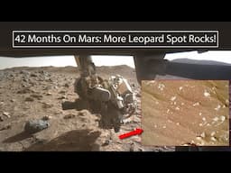 42 Months on Mars: More LEOPARD SPOTS!