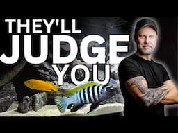 How Normal People See Fish Keepers LIKE YOU