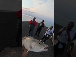 🔥 Catching Dinner LIVE in Front of My Fans! + BONUS Hookup Action!