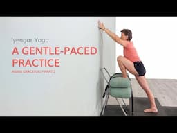 Aging Gracefully #2: A Gentle-Paced Practice for Seniors, Injuries, and Joint Pain — Iyengar Yoga
